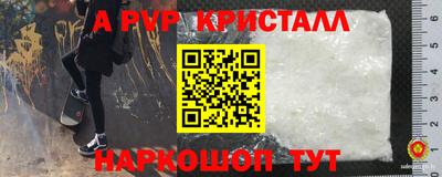 стафф Туймазы