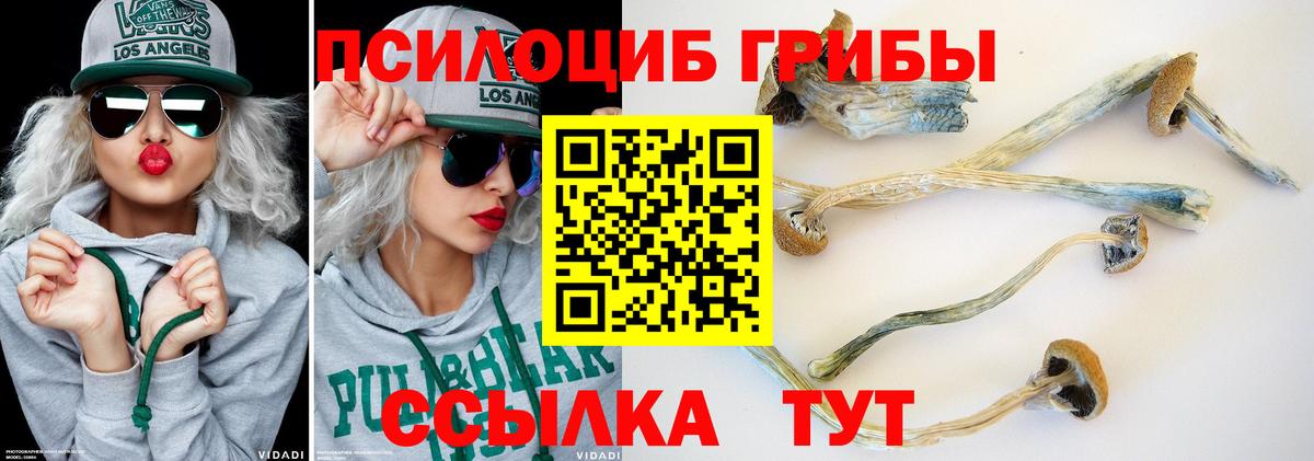 Галлюциногенные грибы мухоморы  Вход с VPN  Менделеевск 